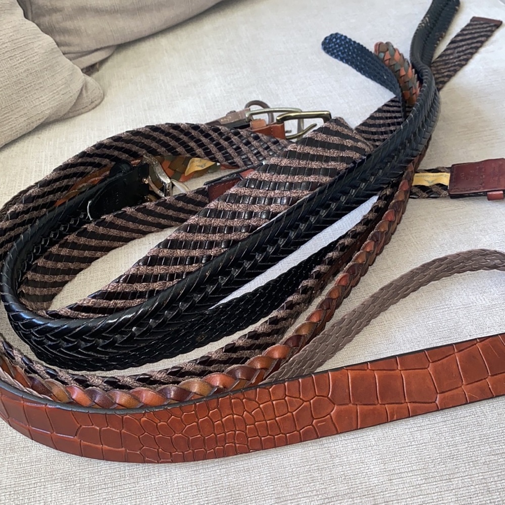 Bundle of belts